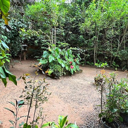 Ella Secret Paradise Экстерьер фото